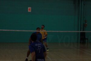 IMG_2313 (500x333)
