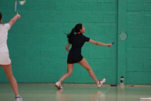 IMG_2740 (500x333)