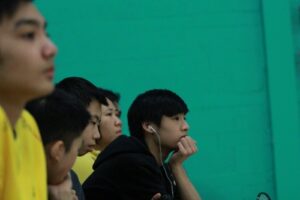 IMG_2847 (500x333)